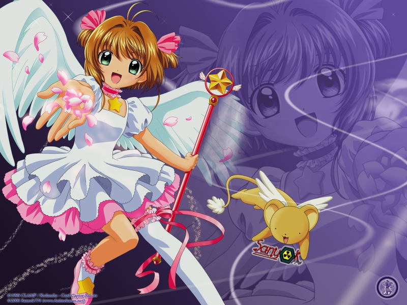 Illustration for article titled Adaptation Decay Part I: Localization the Butcher of Anime